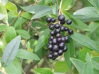 025.webp