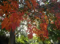 SAM_1670.webp
