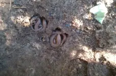 IMG-20130928-WA0011.webp