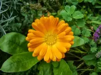 CIMG1611.webp