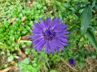 CIMG1722.webp