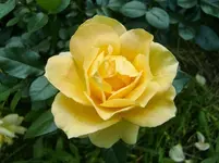 CIMG1657.webp