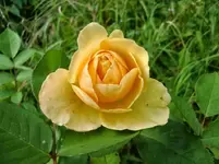 CIMG1661.webp