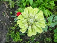 CIMG1020.webp