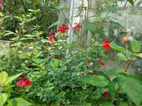 CIMG1613.webp