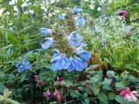 CIMG1757.webp