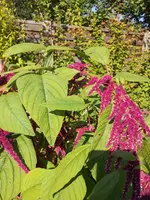 IMG-20130930 (2).webp