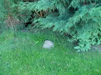 DSC01202.webp
