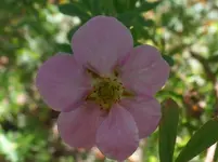 SAM_1009.webp