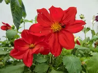 CIMG1665.webp
