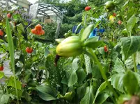 CIMG1700.webp