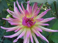 SAM_1012.webp