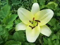 CIMG7883.webp