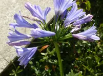 P1100103.webp