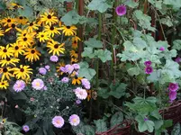 Garten1.webp