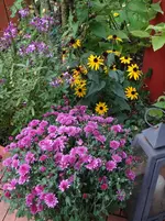 Garten2.webp