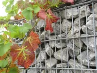 Bilda 0171.webp
