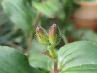 005_1024x768.webp