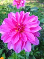 image.webp