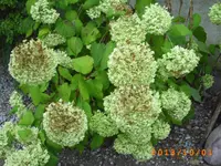 oktob01 007.webp