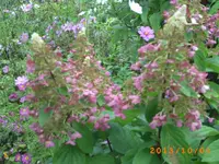 oktob01 015.webp