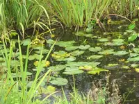 Bilda 0123.webp