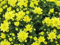 Bilda 0152.webp