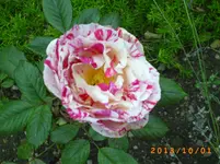 oktob01 020.webp