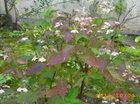 oktob01 024.webp