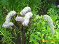 oktob01 025.webp