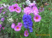 oktob01 029.webp