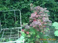 oktob01 040.webp