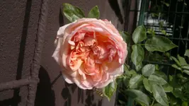 2013-09-27-3677.webp