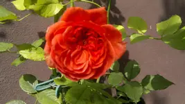 2013-09-27-3678.webp