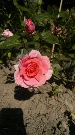 2013-09-29-3695.webp