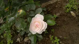 2013-09-30-3713.webp