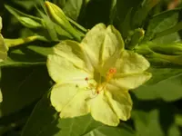 RIMG0024.webp