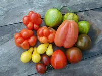 CIMG1932.webp