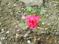 oktob02 008.webp