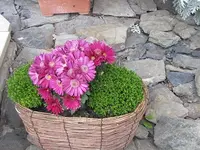 020.webp
