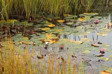 2013_0930Herbst0012.webp