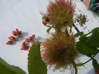DSCF4386.webp