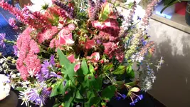 DSCN5753.webp