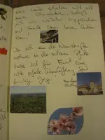 003.webp