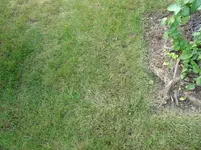 Oktober Vorgarten 004.webp