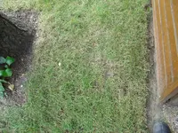 Oktober Vorgarten 002.webp