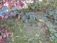 2013-10-04 17.02.10.webp