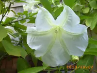 oktob02 022.webp