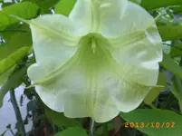 oktob02 023.webp