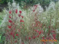 oktob03 002.webp